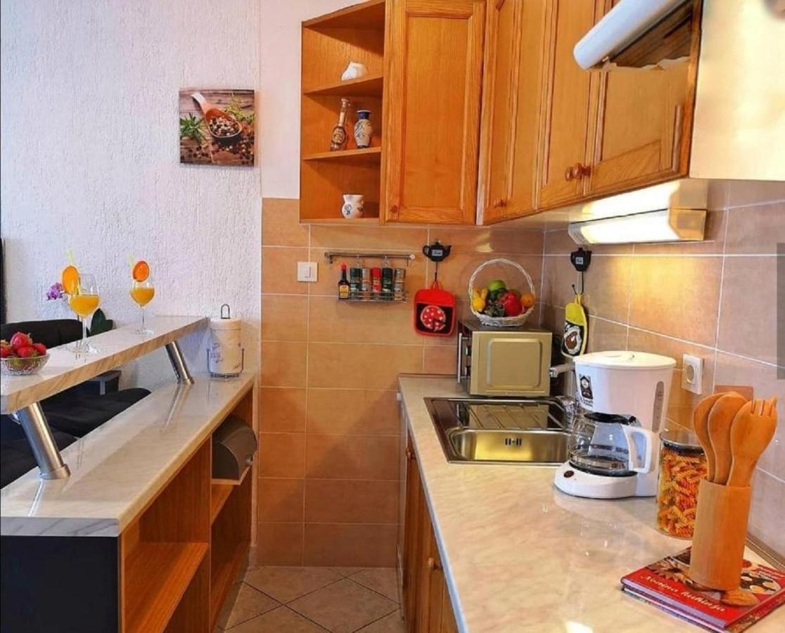 Holiday House Pasjak Sapjane Dış mekan fotoğraf